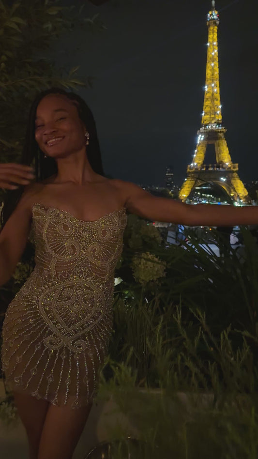 The Paris Dress